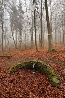 Foto de TallWanderBilly a lo largo del recorrido