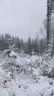 Fotografia z Pur Alexander na trase