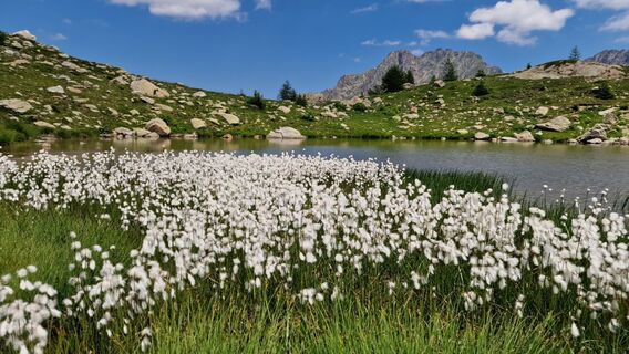 Photo de Fabrizi Mellano le long du parcours