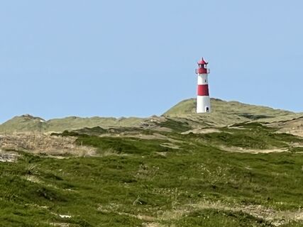 Fotografia z Bobrin na trase