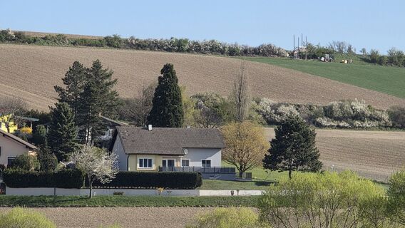 Fotografija s spletne strani WaZe na poti