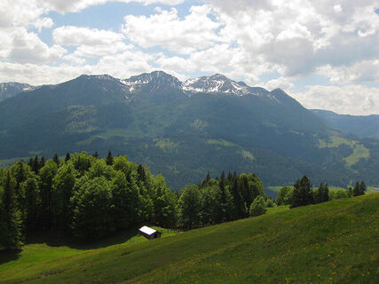 Buchensteinwand über Hoametzl