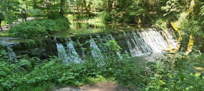 Fotografija s spletne strani vroni1501 na poti