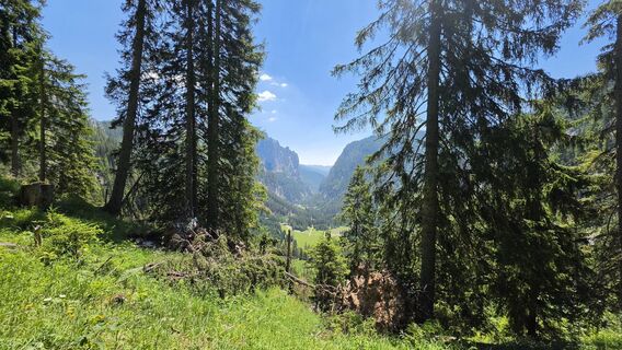 Foto von EP87 entlang der Tour