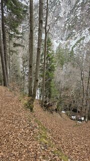 Foto von euterpe42 entlang der Tour