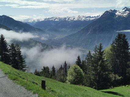 Foto von Waldläufer entlang der Tour