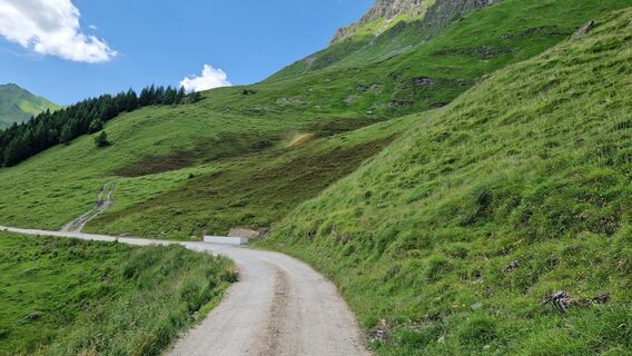 Fotografie z Gerrit van der Linde na trase