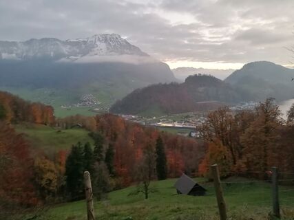 Fotografija s spletne strani luyyy na poti