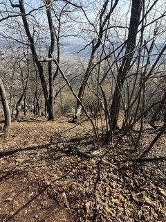 Foto da Kamil lungo il tour