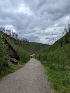Foto von dgerber entlang der Tour