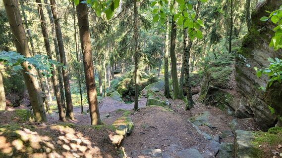 Photo de Jörg Maier le long du parcours