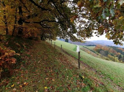 Foto von luyyy entlang der Tour