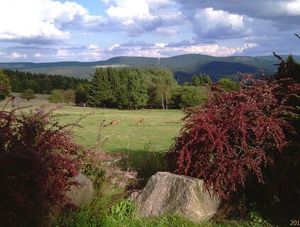 Blick auf den Thüringer Wald und Wildgehege