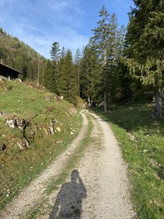 Fotografie de la Stefan Schiller de-a lungul turului