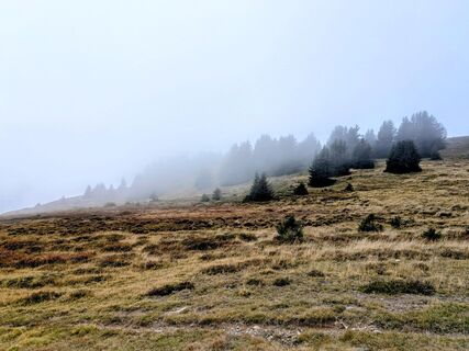 Foto von Sabrina Hackel entlang der Tour