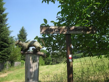 Währinger- und Ganghoferklettersteig