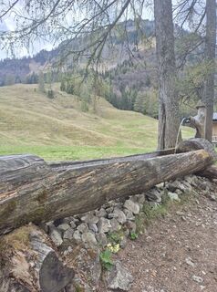 Foto von Anita Jäckel-Schwarz entlang der Tour