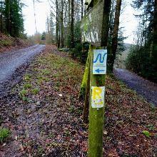 Markierung Neckarrandweg + Neckarsteig