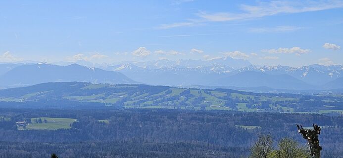 Фото с сайта garrincha во время экскурсии