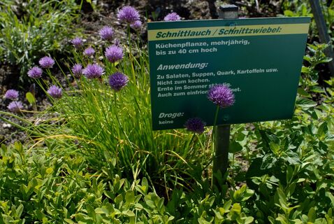 Kräutergarten Webermuseum