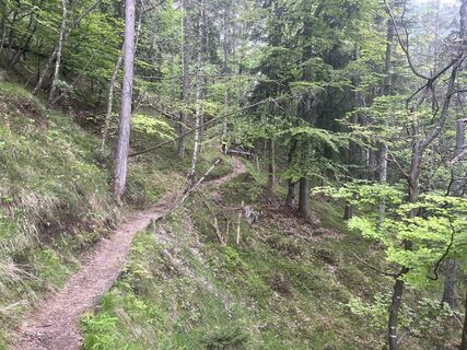 Photo de Stefano “Iddo” le long du parcours