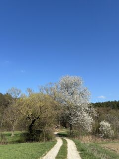 Fotografija s spletne strani RS76 na poti