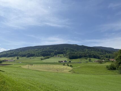 Teisendorf_Stoisseralm