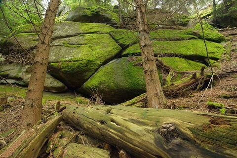 Bärentrail im Waldviertel - der neue Sidestep "Felsengarten", Steinerne Stube