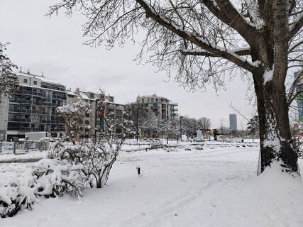 Foto von Poschacher entlang der Tour