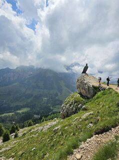 Foto från Nadja Schreiber under resans gång