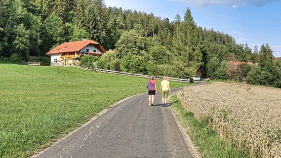 Beim Parkplatz wandern wir gemütlich weg
