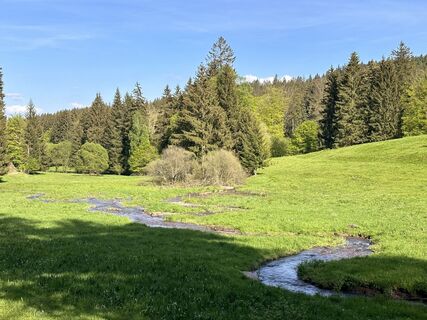 Fotografia z Norbert Herbig na trase