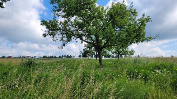 Hüllhorst