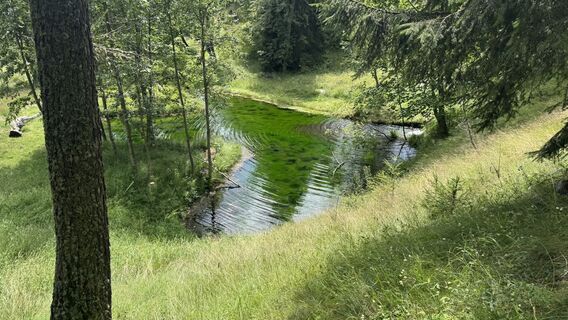 Foto de Jean Claude Guidi a lo largo del recorrido