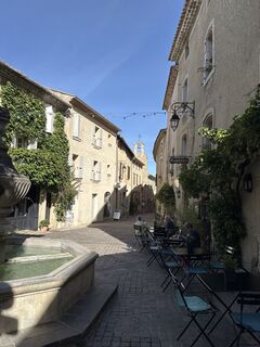 Zdjęcie z Grizzli wzdłuż trasy