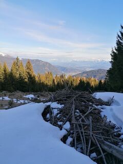 Foto från Dagmar Hofer under resans gång
