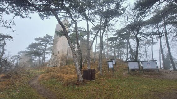 Foto de Regina Fleischmann a lo largo del recorrido