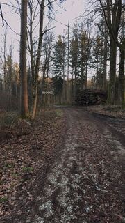 Fotó a robin Zuhn honlapról a túra során