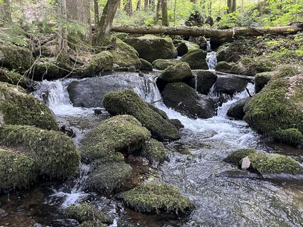 Foto von Anton Sacher entlang der Tour