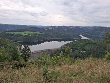 Zdjęcie z Wollomator wzdłuż trasy