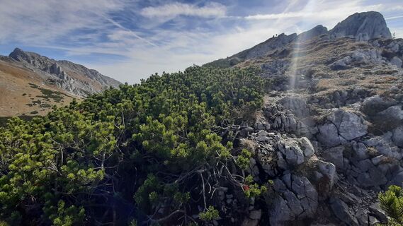 Fotografia z Aga M na trase