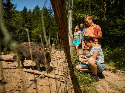Wildgehege Bad Säckingen