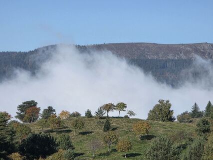 Foto von Noreen (NoKe) entlang der Tour