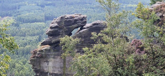 Foto de Ronny Kalusa a lo largo del recorrido