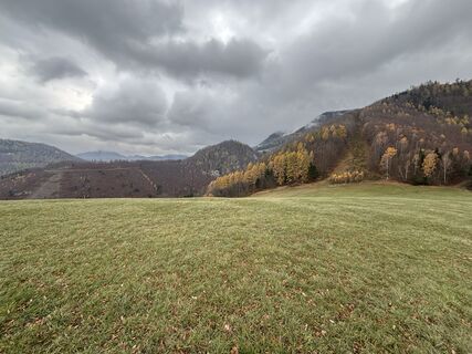 Fotografie z Peda na trase