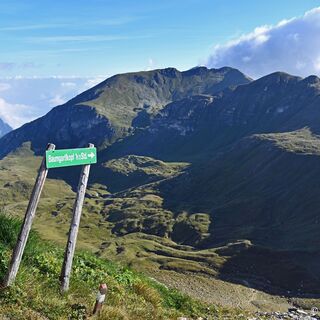Wir starten auf der Edelweißspitze