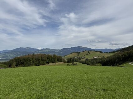 Foto von Moser W entlang der Tour