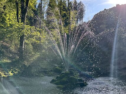 Fotografia z Norbert Herbig na trase