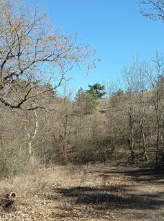 Foto de Julika Jármer a lo largo del recorrido