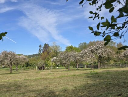 Fotografija s spletne strani Sigrid Böhm na poti
